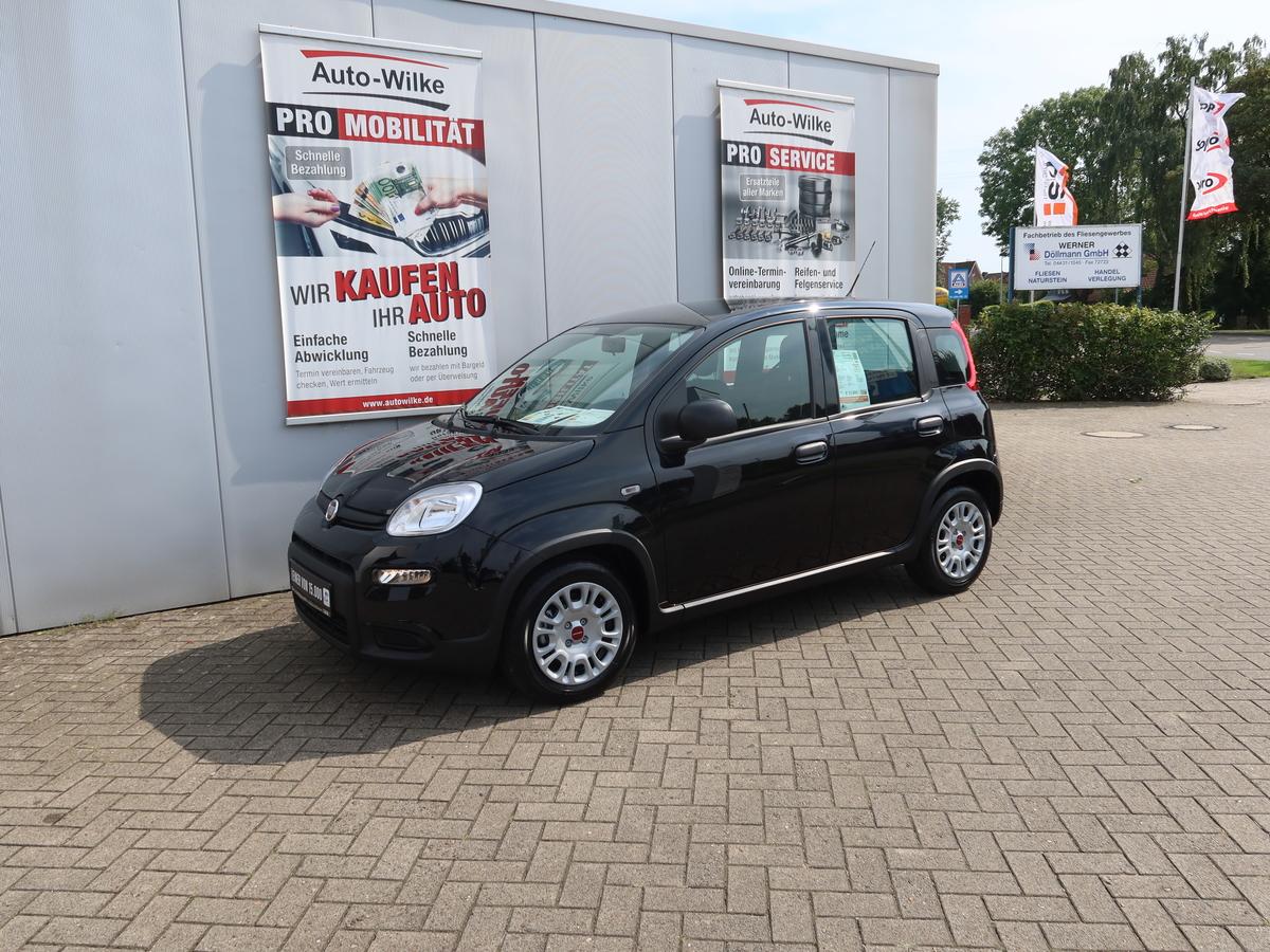 Fiat Panda 1.0 Mild Hybrid Base *KLIMA*ZV MIT FB*E-FENSTER VORNE